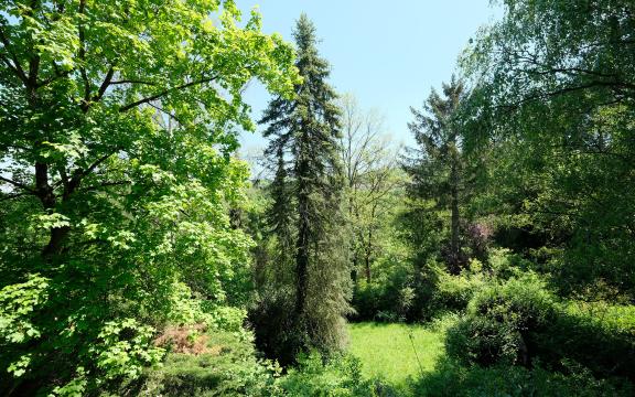 Ausblick Balkon